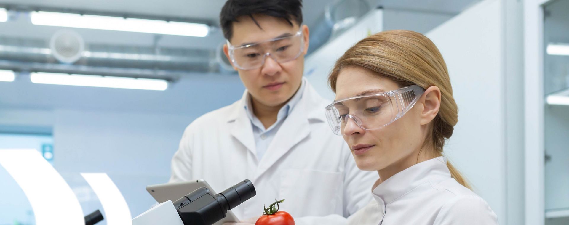 Zwei Personen am Mikroskop, symbolisieren die ISO 22000 Schulung zur Einführung eines Lebensmittelsicherheitsmanagementsystems und zur Gewährleistung der Lebensmittelsicherheit.